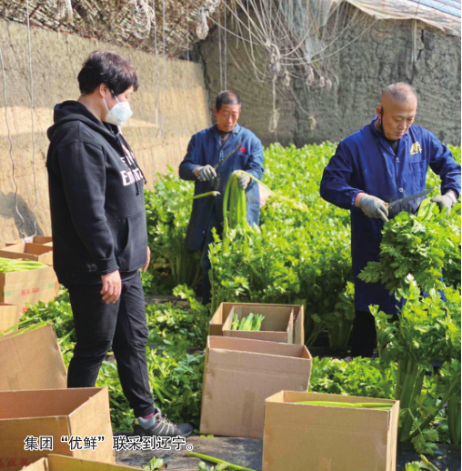 k8凯发(中国)天生赢家·一触即发